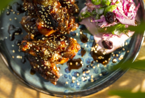 treiyaki_wings