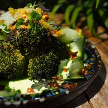 Sᴍᴀʟʟ ᴘʟᴀᴛᴇs, ʙɪɢ ᴛᴀsᴛᴇs! 
Rᴏᴀsᴛᴇᴅ ʙʀᴏᴄᴄᴏʟɪ ᴡɪᴛʜ ᴡᴀsᴀʙɪ ʏᴏɢᴜʀᴛ, ᴄᴜᴄᴜᴍʙᴇʀ, ᴘʀᴇsᴇʀᴠᴇᴅ ʟᴇᴍᴏɴ ᴀɴᴅ ᴄʜɪʟɪ ꜰʀɪᴇᴅ ᴏɴɪᴏɴ. 
•
Kɪs ᴛᴀ́ɴʏᴇ́ʀᴏɴ, ɴᴀɢʏ ɪ́ᴢᴇᴋ.
Sᴜ̈ʟᴛ ʙʀᴏᴋᴋᴏʟɪ ᴡᴀsᴀʙɪs ᴊᴏɢʜᴜʀᴛᴛᴀʟ, ᴜʙᴏʀᴋᴀ́ᴠᴀʟ, sᴏ́s ᴄɪᴛʀᴏᴍᴍᴀʟ ᴇ́s ᴄsɪʟɪs sᴜ̈ʟᴛ ʜᴀɢʏᴍᴀ́ᴠᴀʟ. 
Hᴜ́sᴇᴠᴏ̋ ʙᴀʀᴀ́ᴛᴀɪᴍ ꜰɪɢʏᴇʟᴍᴇ́ʙᴇ ɪs ᴍᴇʟᴇɢᴇɴ ᴀᴊᴀ́ɴʟᴏᴍ!
.
.
.
#leorooftop #smallplates #vegetarian #broccoli #veggie #vegetablelover #budapestdining #budapestvegetarian #rooftoprestaurant
